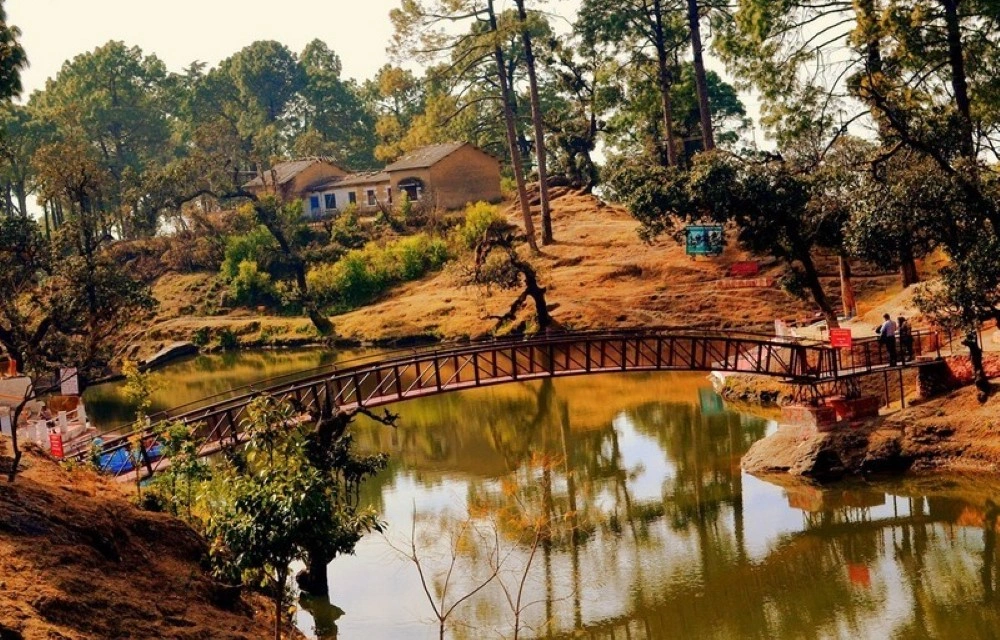 Attraction Picture